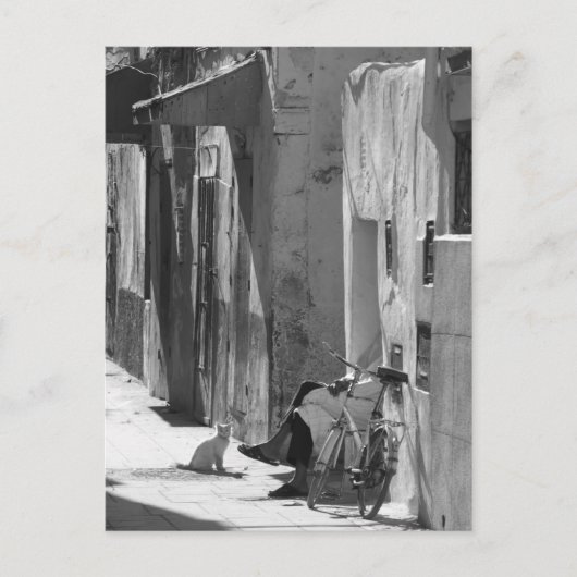 Carte Postale Homme et chat (Devant)