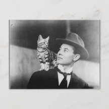 Carte postale homme et chat noir et blanc