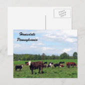 Carte postale Honesdale Pennsylvania (Devant / Derrière)