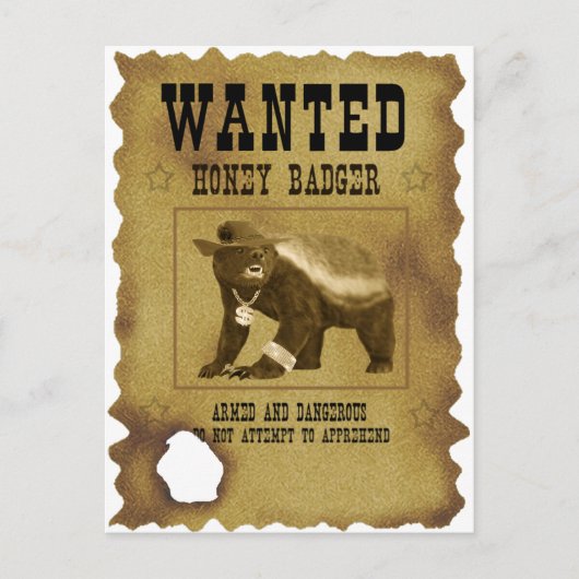 Carte Postale Honey Badger Poster Recherché (Devant)