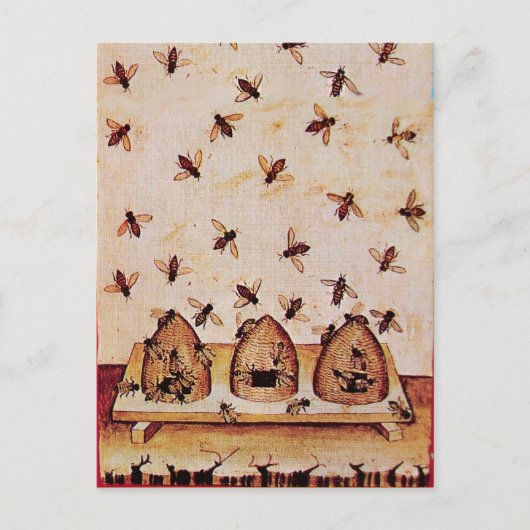 Carte Postale HONEY BEE, BEEKEEPER /apiary, fournitures d'apicul (Devant)
