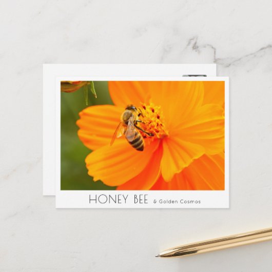 Carte Postale Honey Bee & Golden Cosmos (Devant/Arrière en situation)