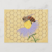 Carte Postale Honey bee on flower honeycomb background postcards (Devant)