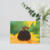 Carte Postale Honeybee - Le centre d'attention (Debout devant)