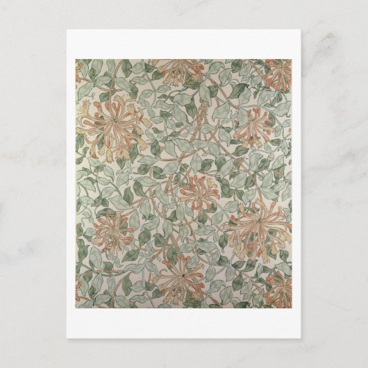 Carte Postale Honeysuckle II (Devant)
