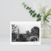 Carte Postale Honolulu, Hawaï - Vue sur les jardins de Moanolua (Debout devant)