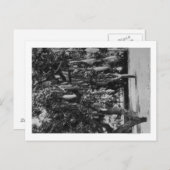 Carte Postale Honolulu, HI - Université d'Hawaii (Devant / Derrière)