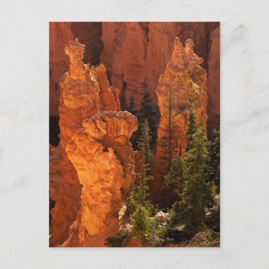 Carte Postale Hoodos Et Goblins (Devant)