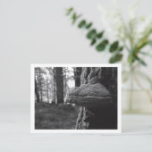 Carte postale Hoof Fungus (Debout devant)