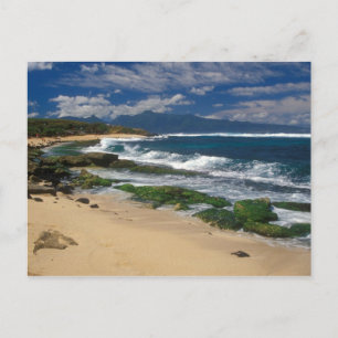 Carte Postale Hookipa Beach Maui Hawaii