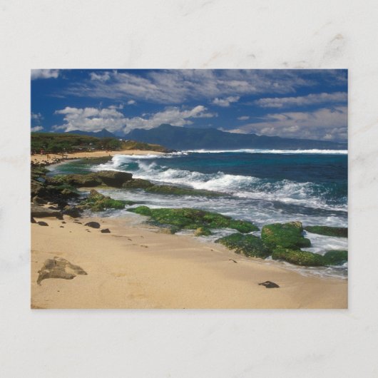 Carte Postale Hookipa Beach Maui Hawaii (Devant)