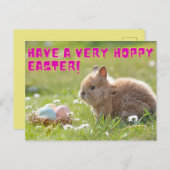 Carte postale Hoppy Easter (Devant / Derrière)