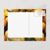 Carte Postale Horaires d'automne (Dos)