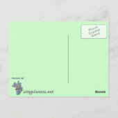 Carte Postale horizon de charlotte (Dos)