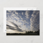 Carte Postale Horizon Sky avec nuages (Devant / Derrière)