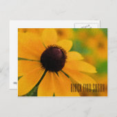 Carte postale horizontale Black Eyed Susan (Devant / Derrière)