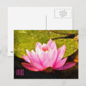 Carte postale horizontale Lotus rose (Devant / Derrière)