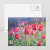 Carte postale horizontale Tulips (Devant / Derrière)