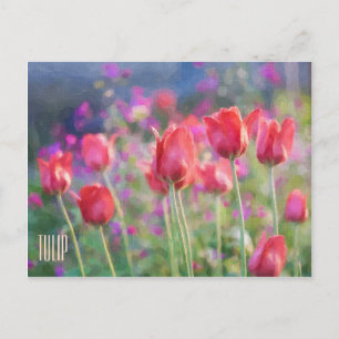 Carte postale horizontale Tulips
