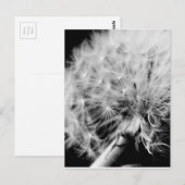 Carte Postale Horloge Dandelion (Devant / Derrière)