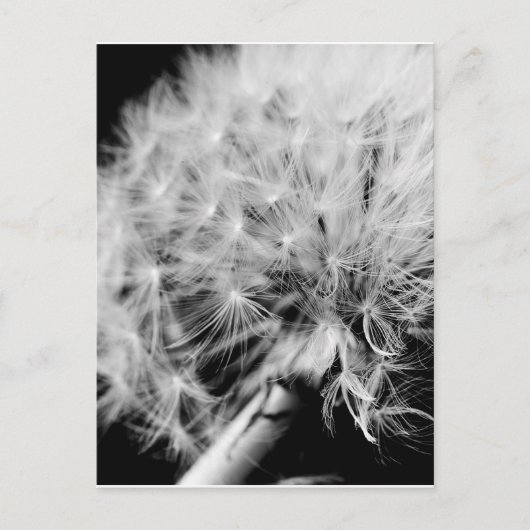 Carte Postale Horloge Dandelion (Devant)