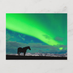 Carte Postale Horloge et aurores boréales, Yukon