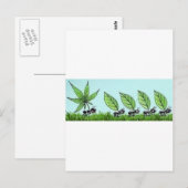 Carte Postale hormiga colocada (Devant / Derrière)