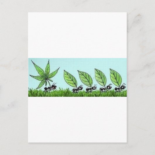 Carte Postale hormiga colocada (Devant)