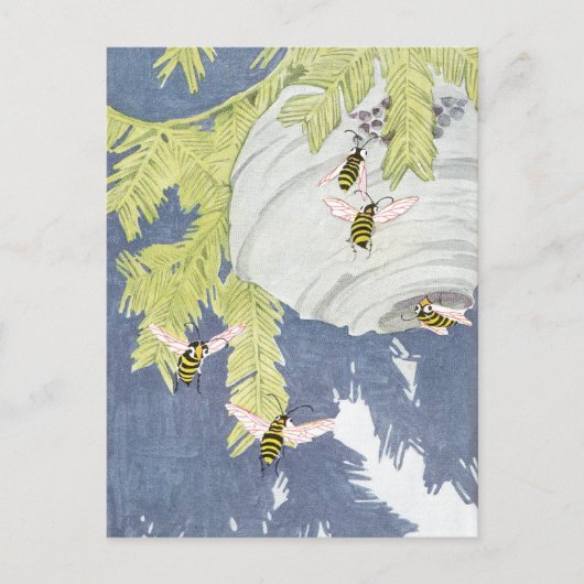 Carte Postale Hornets à visage chauve et leur nid en papier (Devant)