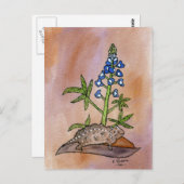Carte Postale Horny Toad avec Bluebonnet (Devant / Derrière)