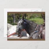 Carte Postale horocard, trail horo (Devant / Derrière)