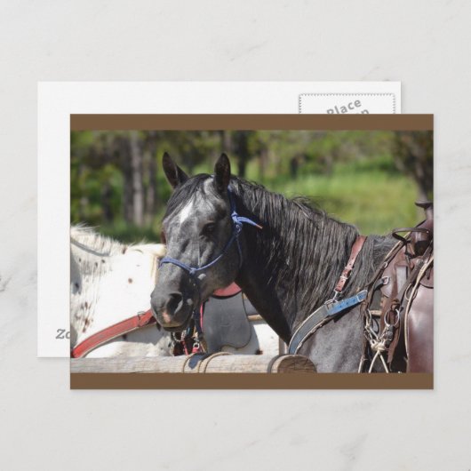 Carte Postale horocard, trail horo (Devant / Derrière)