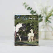 Carte postale Horse Alpaca (Debout devant)