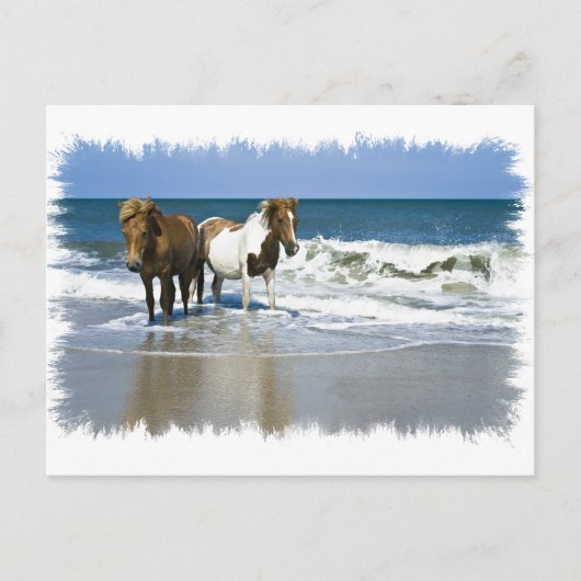 Carte postale Horse Beach (Devant)