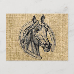 Carte Postale Horse cameo