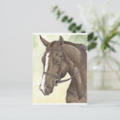 Carte Postale HORSE Champion Appendice QH Mare (Debout devant)