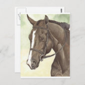 Carte Postale HORSE Champion Appendice QH Mare (Devant / Derrière)