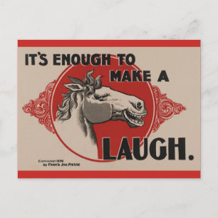Carte Postale Horse Funny Post Card