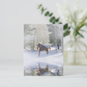 Carte postale Horse Holiday (Debout devant)