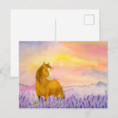 Carte Postale Horse in Lavender Field During Sunset  (Devant / Derrière)