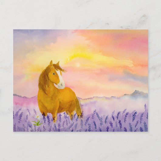 Carte Postale Horse in Lavender Field During Sunset  (Devant)