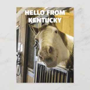 CARTE POSTALE HORSE KENTUCKY FUNNY