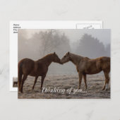 Carte Postale Horse Love Penser À Vous (Devant / Derrière)
