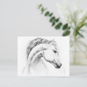 Carte Postale Horse portrait drawing equestrian art (Debout devant)