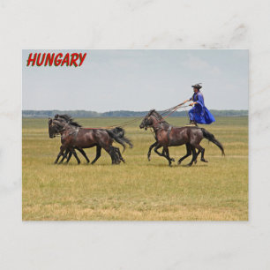 Carte Postale Horseman hongrois et chevaux