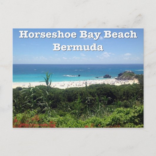 Carte Postale Horseshoe Bay Beach (Devant)