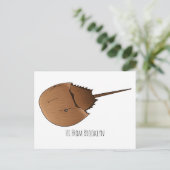 Carte Postale Horseshoe crab (Debout devant)