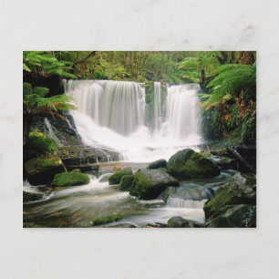 Carte Postale Horseshoe Falls Tasmania Australia