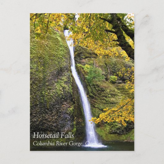 Carte Postale Horsetail Falls, Columbia River Gorge, Oregon Post (Devant)