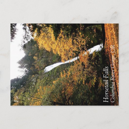 Carte Postale Horsetail Falls, Oregon (Devant)